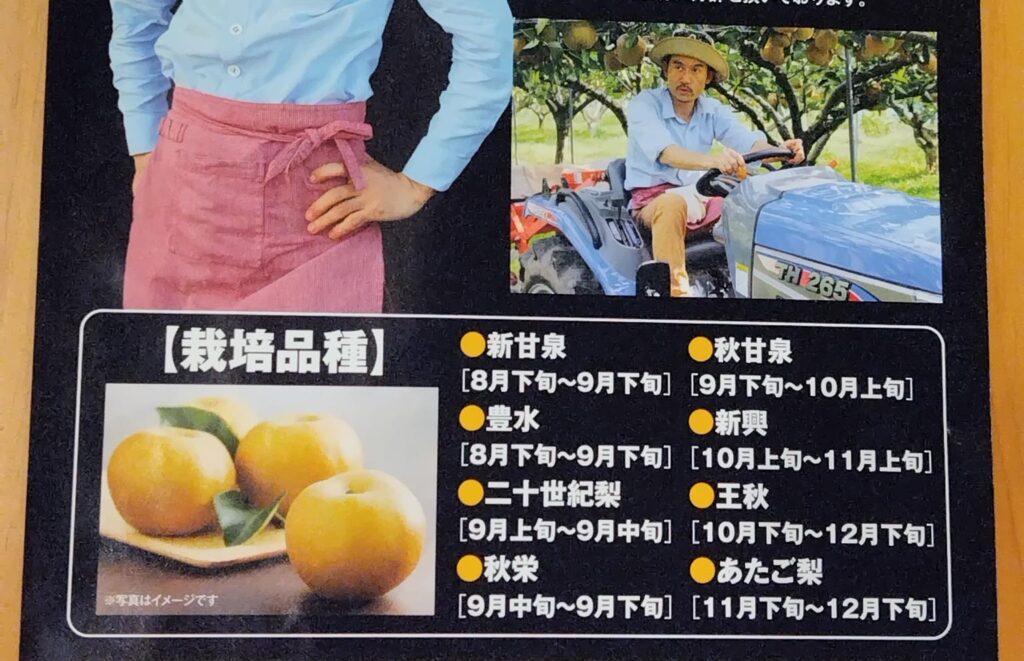 秋の味覚、美味しい完熟梨はいかが
